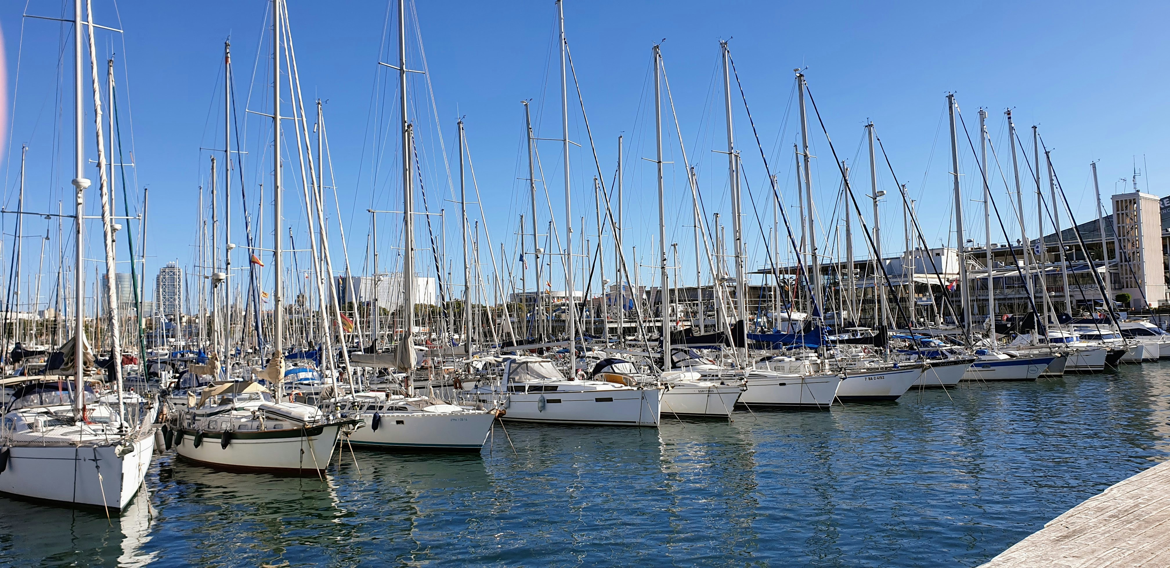 Photo by hydrasilver