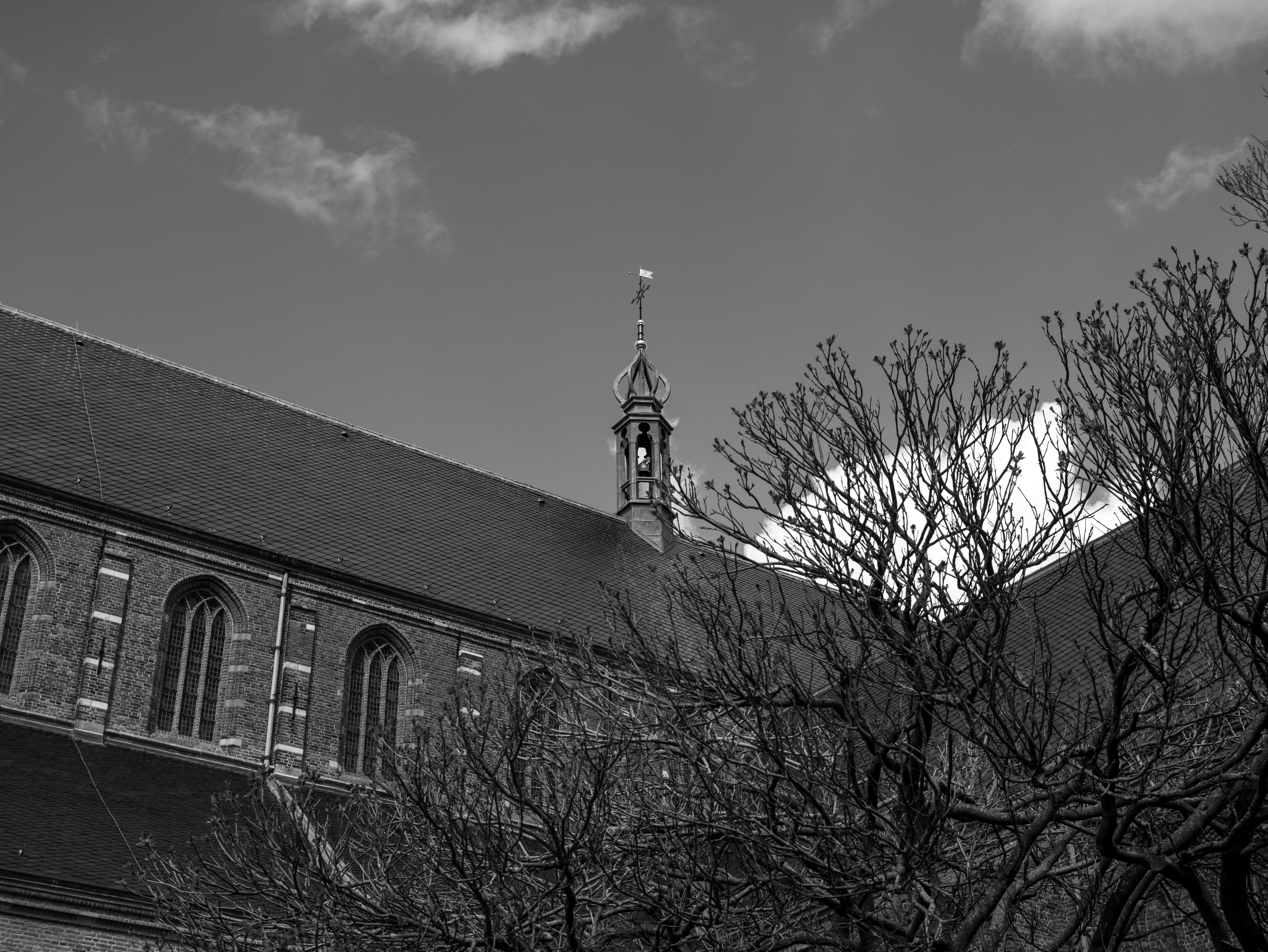 Photo by haberdoedas2