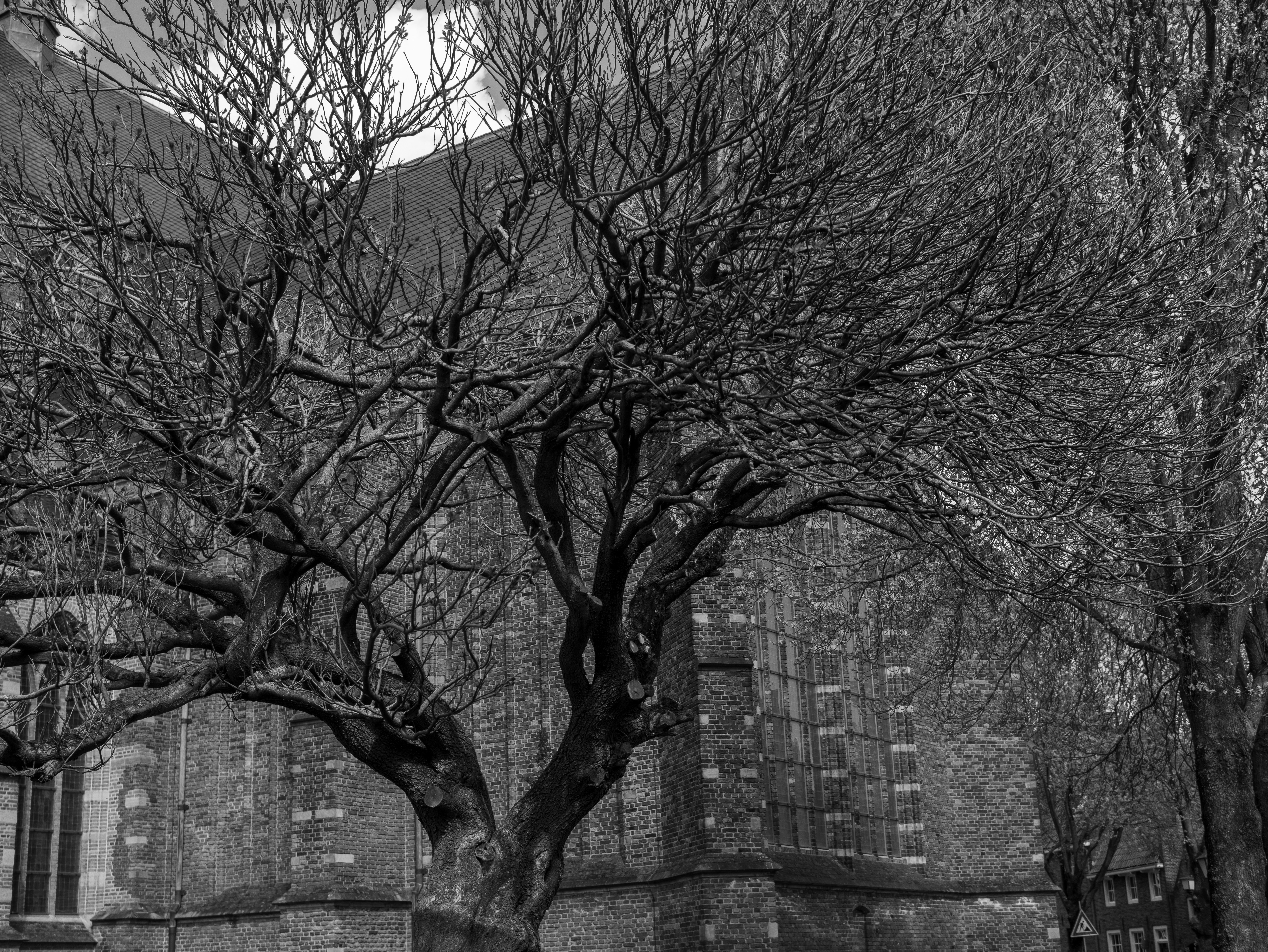 Photo by haberdoedas2