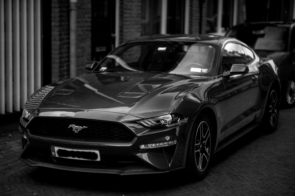 a black and white photo of a mustang