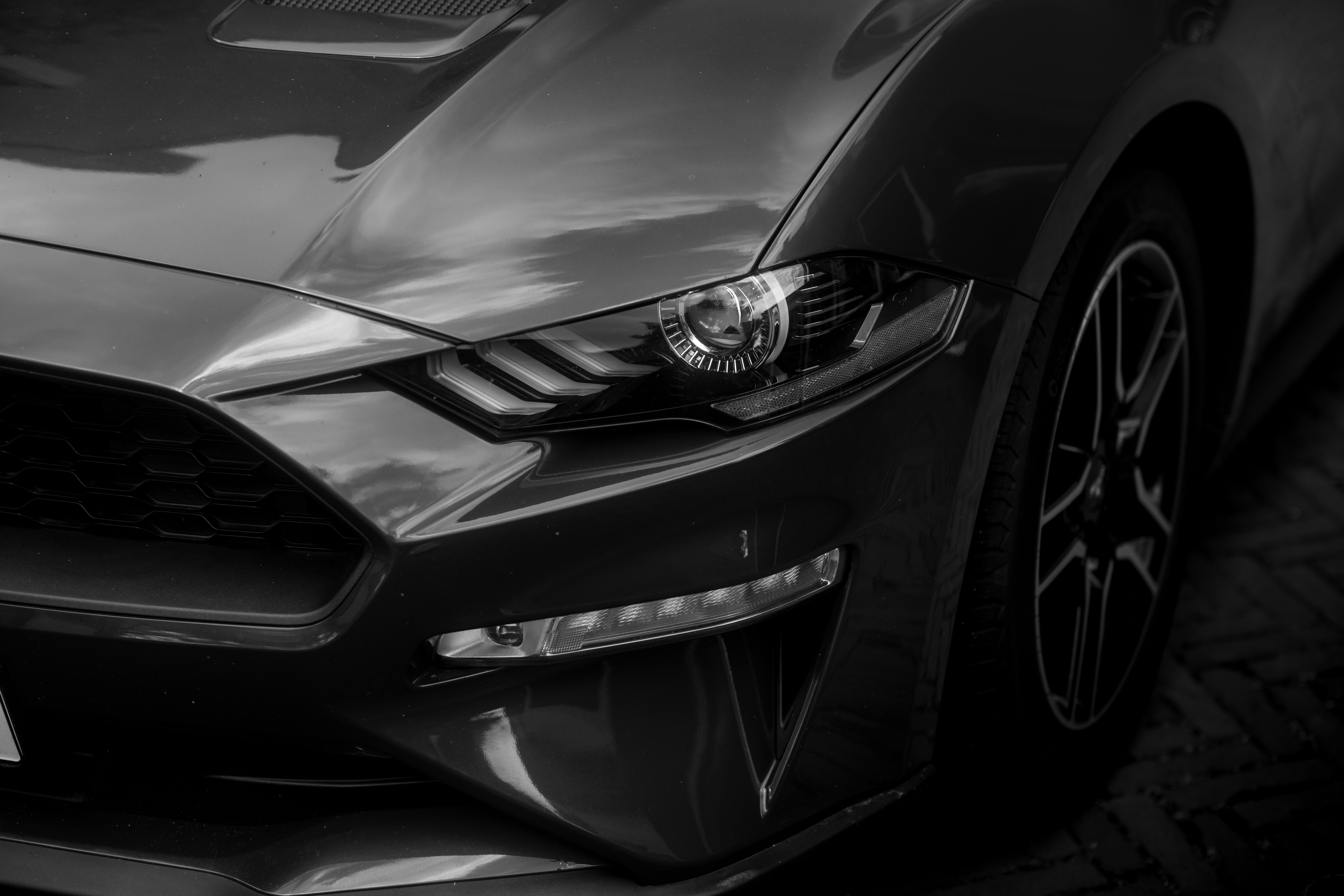 Photo by haberdoedas2