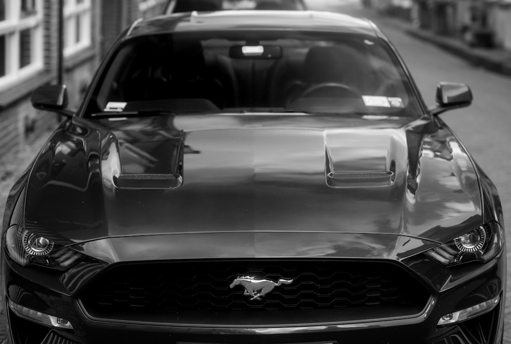 a black and white photo of a mustang