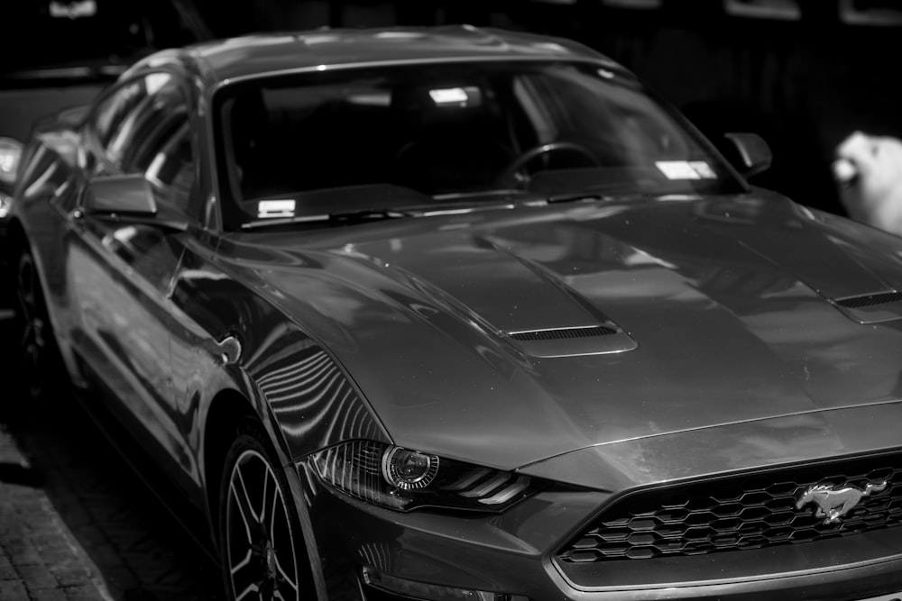 a black and white photo of a mustang