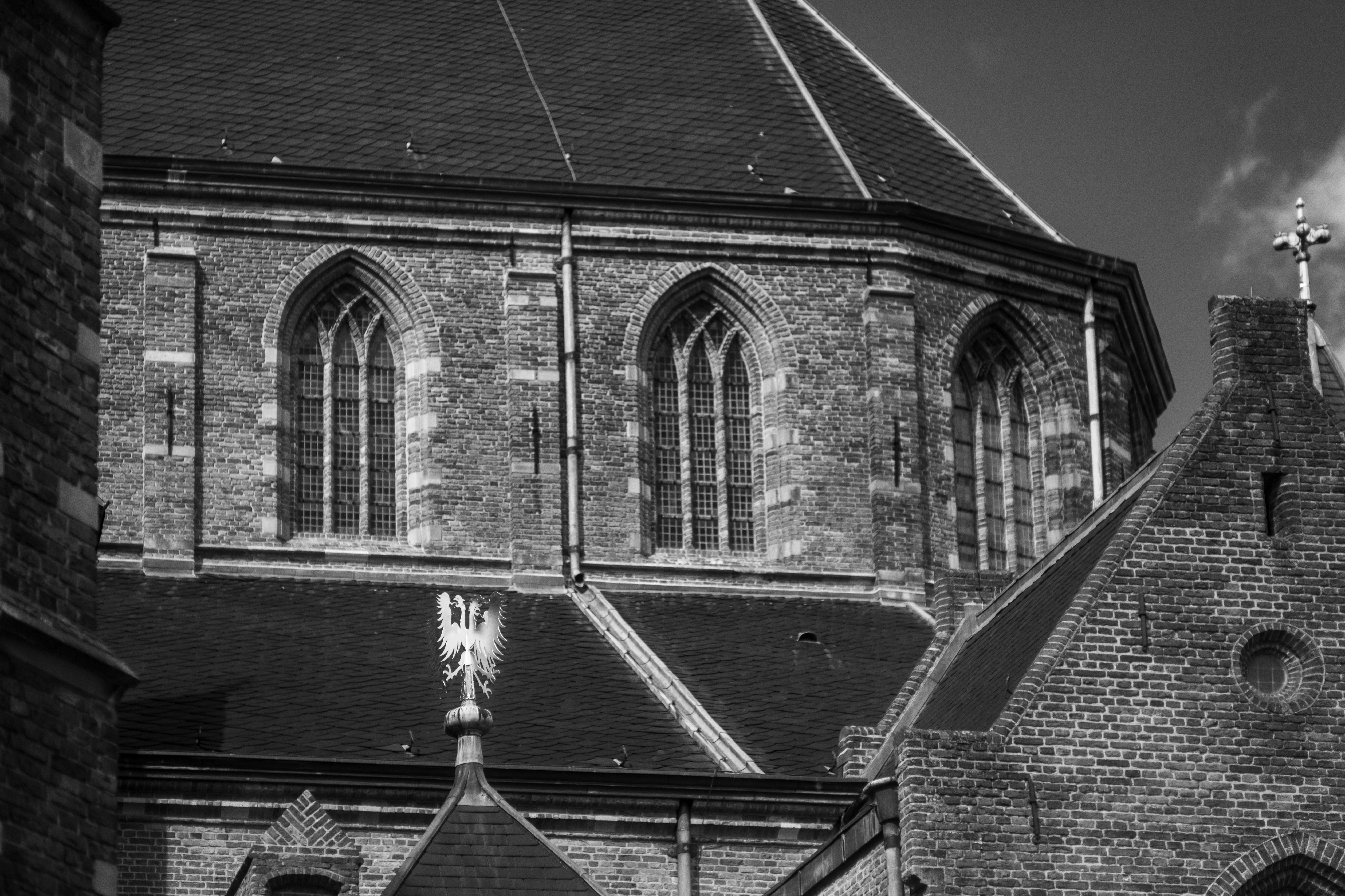 Photo by haberdoedas2