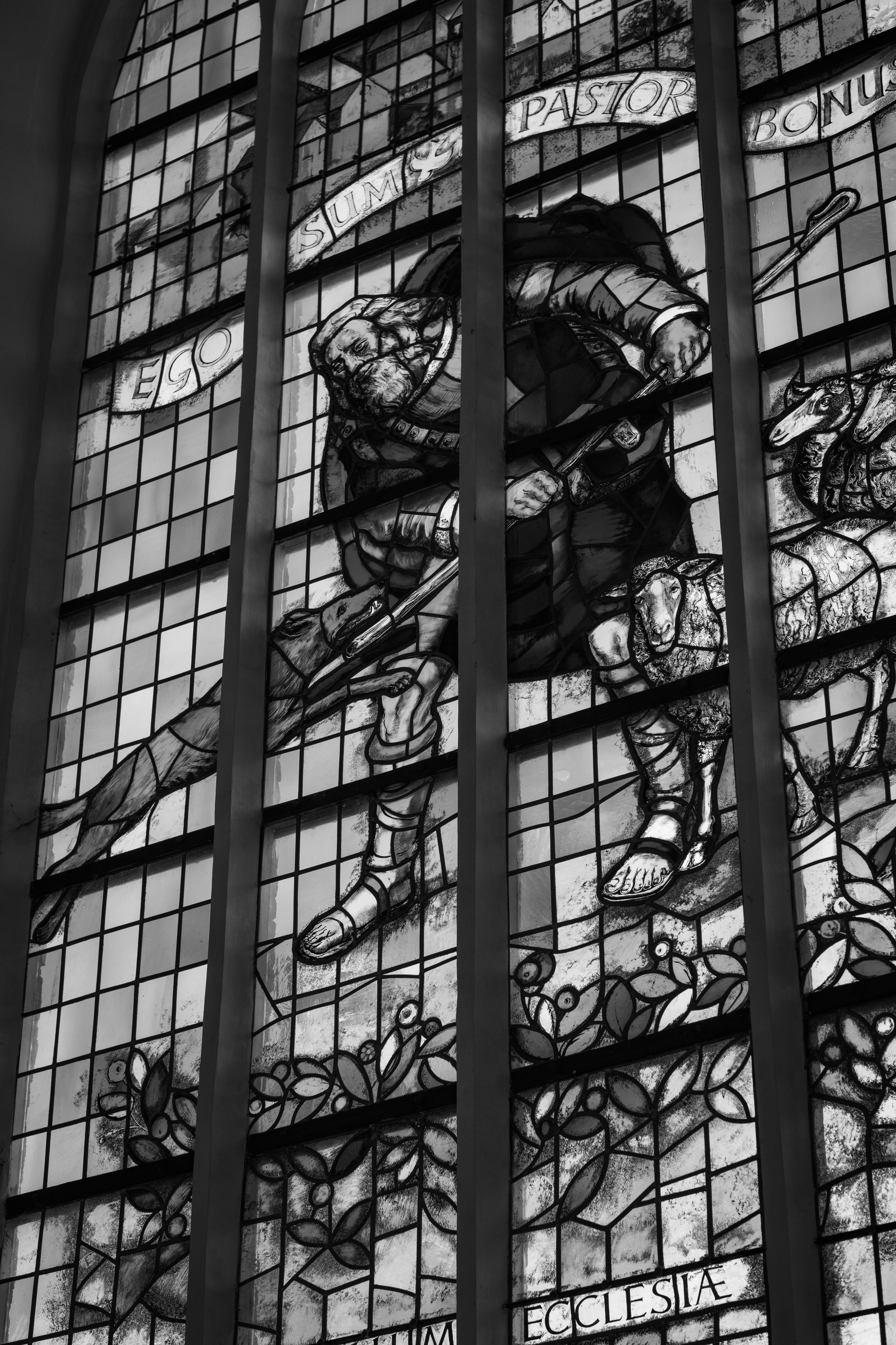 Photo by haberdoedas2