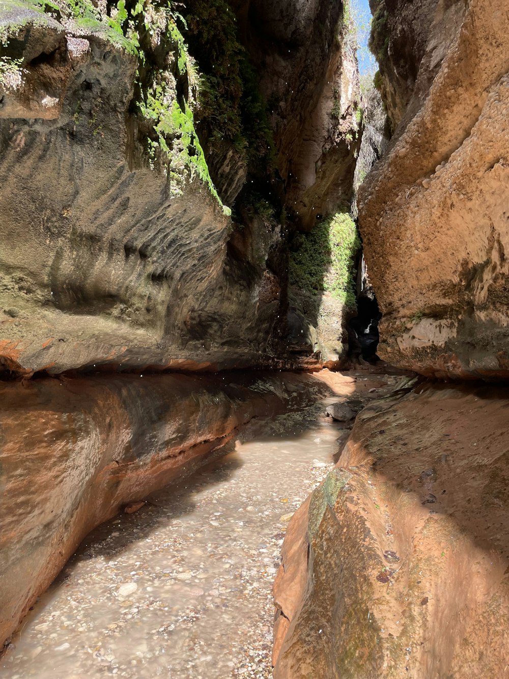 a narrow canyon with a small stream running through it