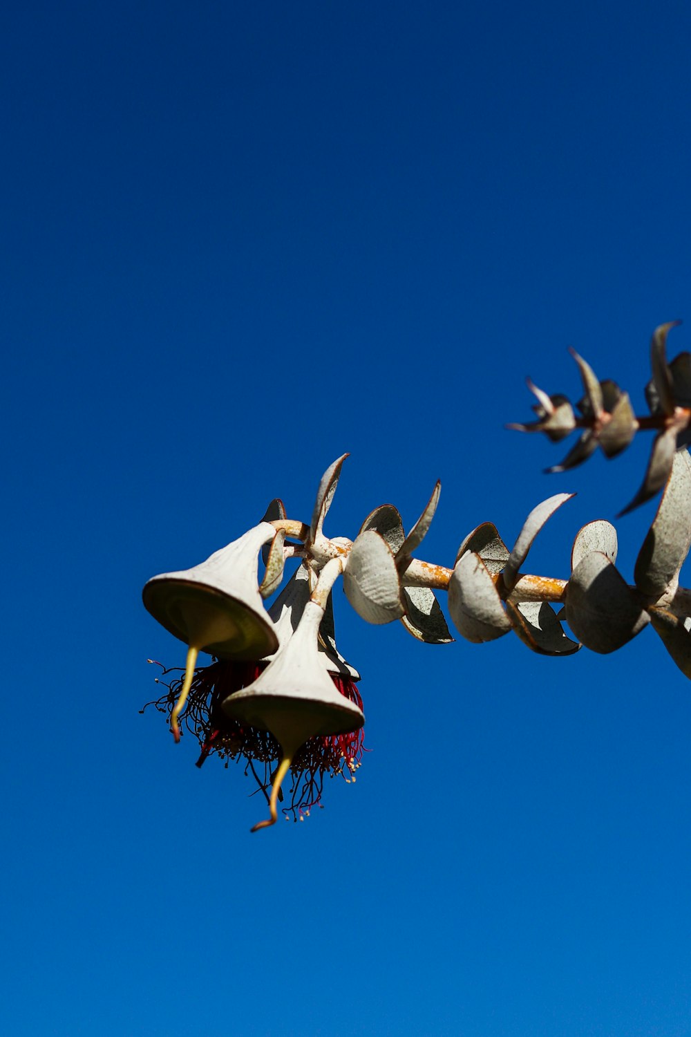 a group of birds flying around a bird feeder