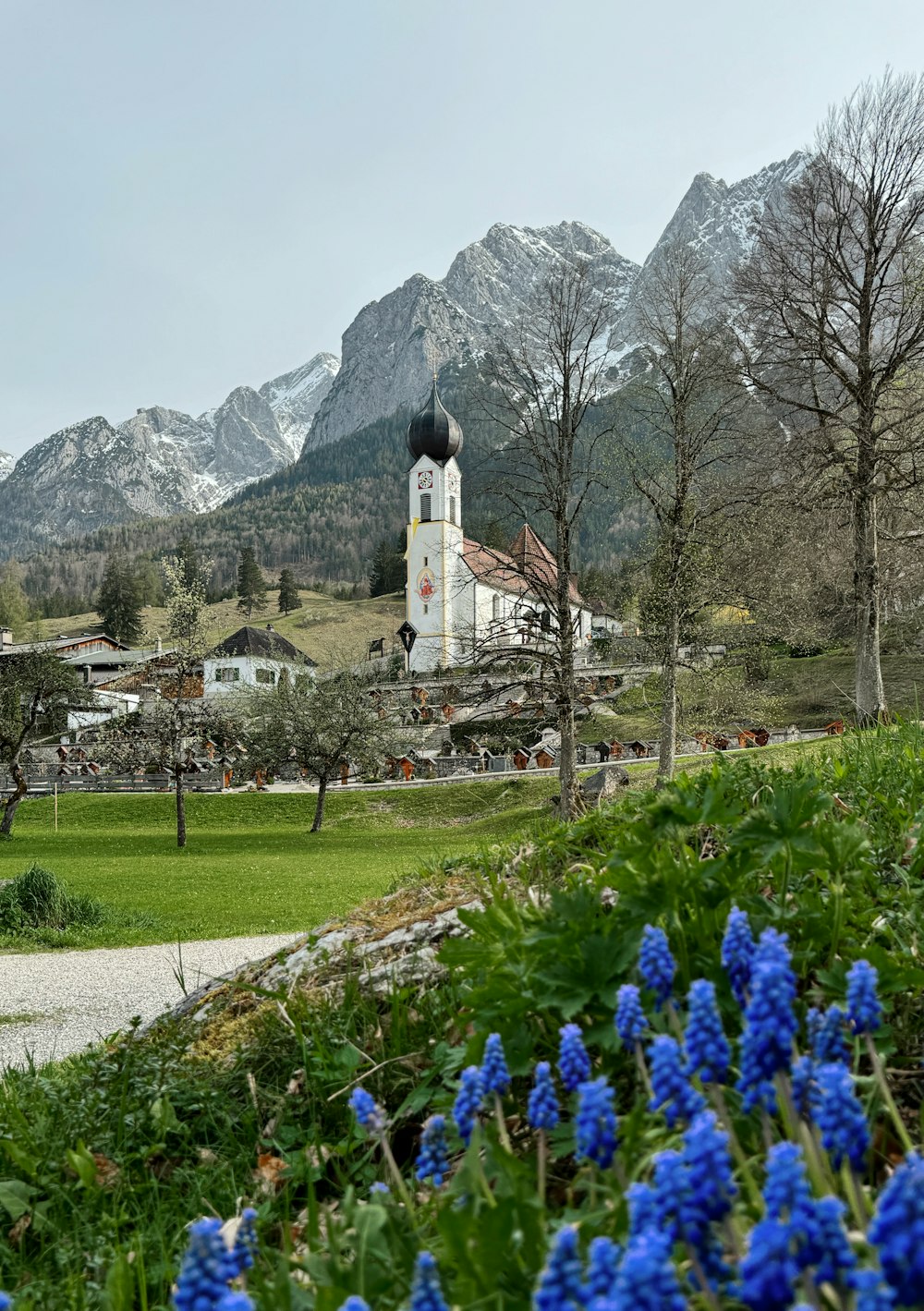 a church in the mountains with blue flowers in the foreground