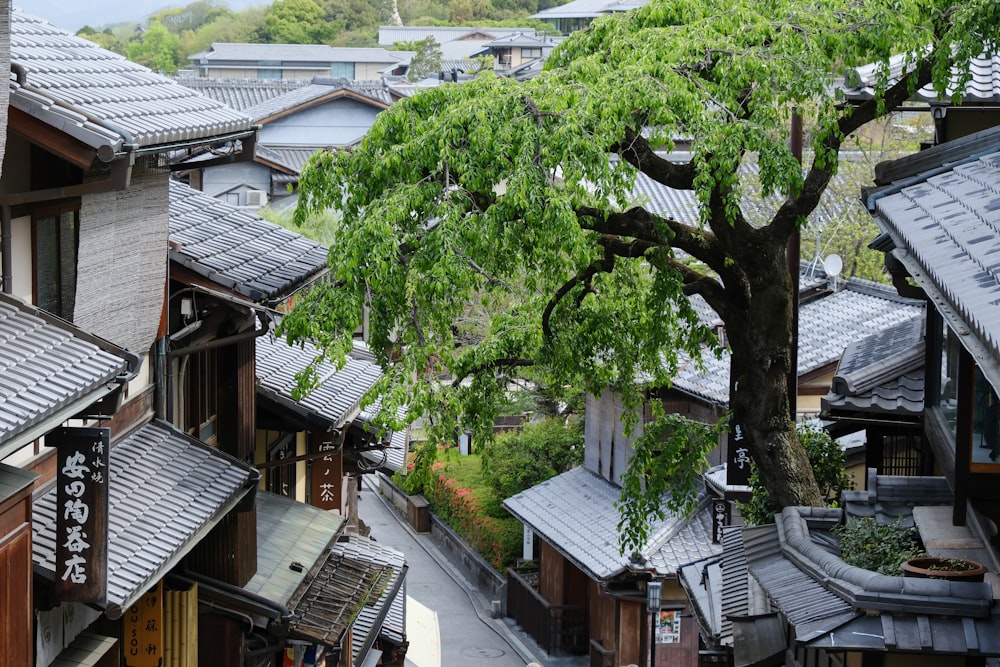 a view of a tree and some buildings