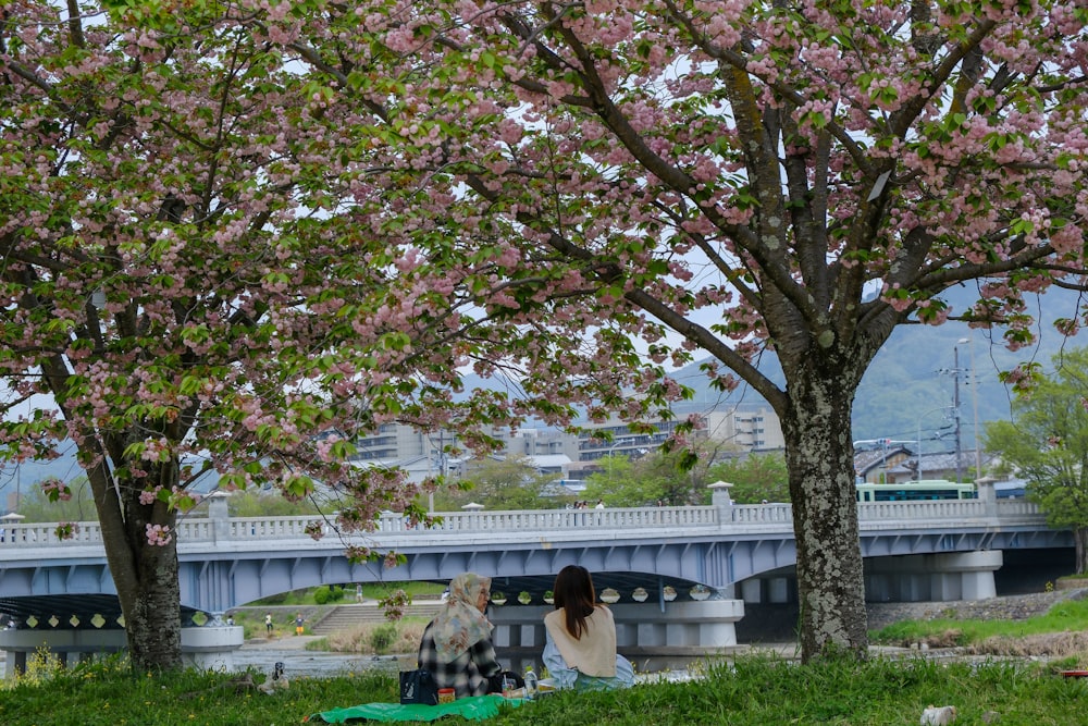 a couple of people sitting on a bench under a tree