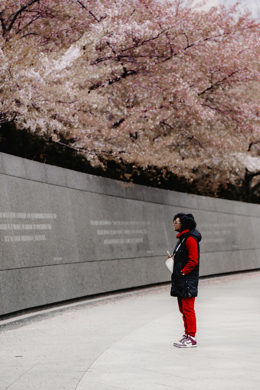 a person standing in front of a wall with cherry blossoms on it