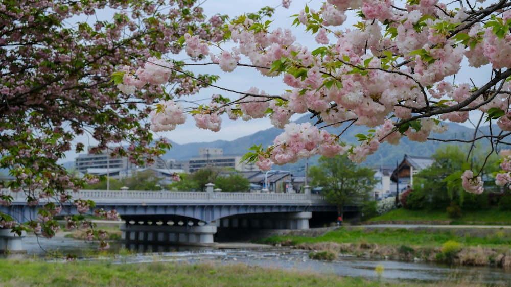 a bridge over a river next to a lush green field