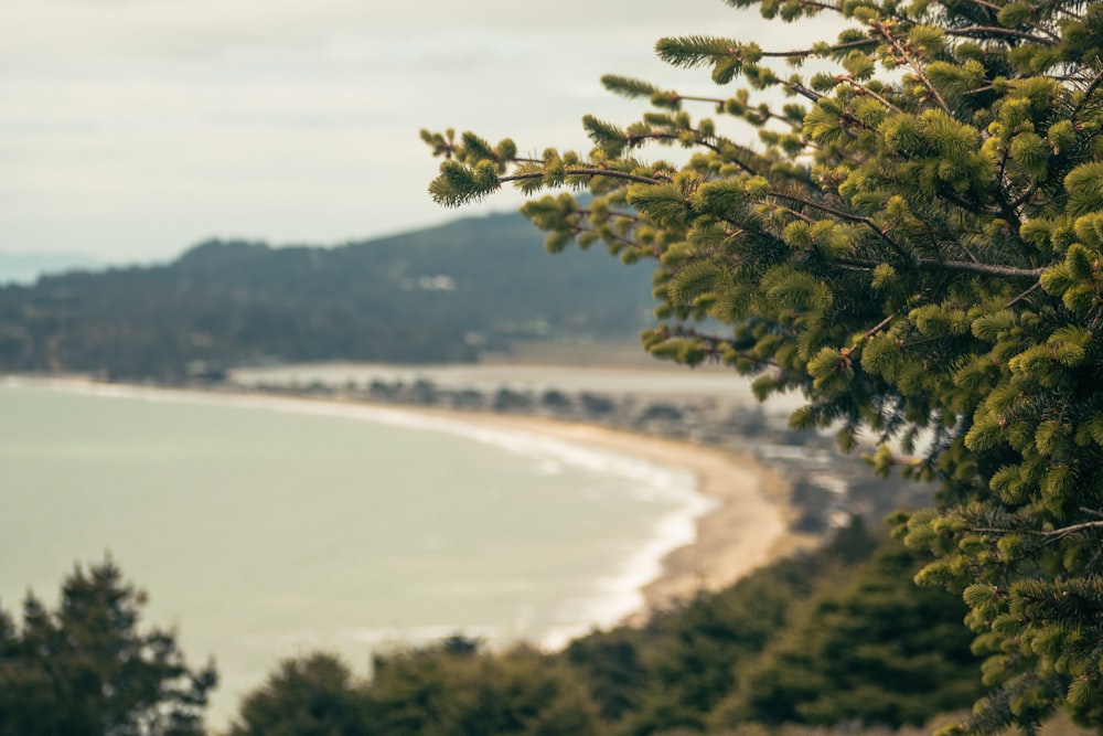 a view of a beach from a hill