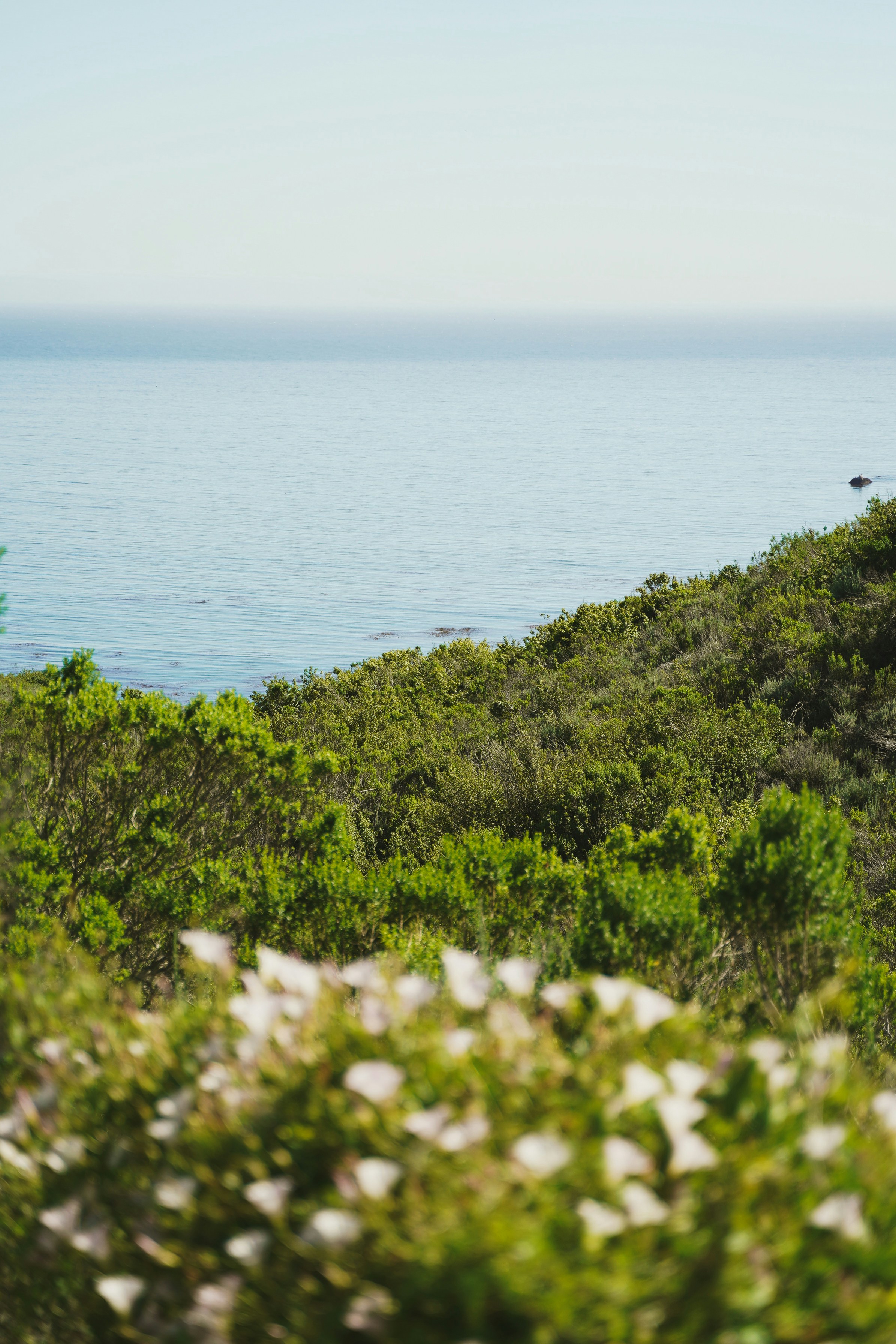 Photo by courtneysmith