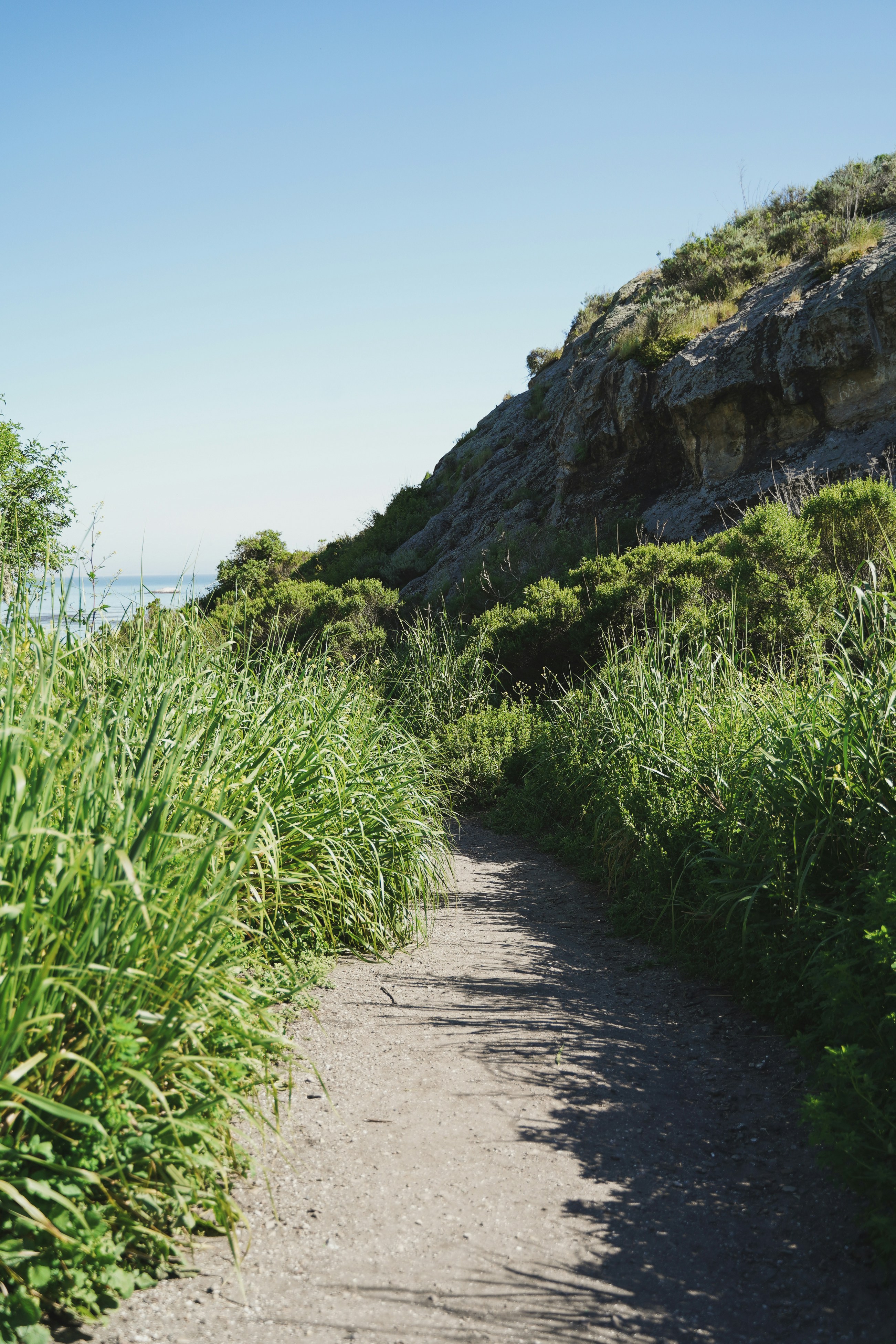 Photo by courtneysmith