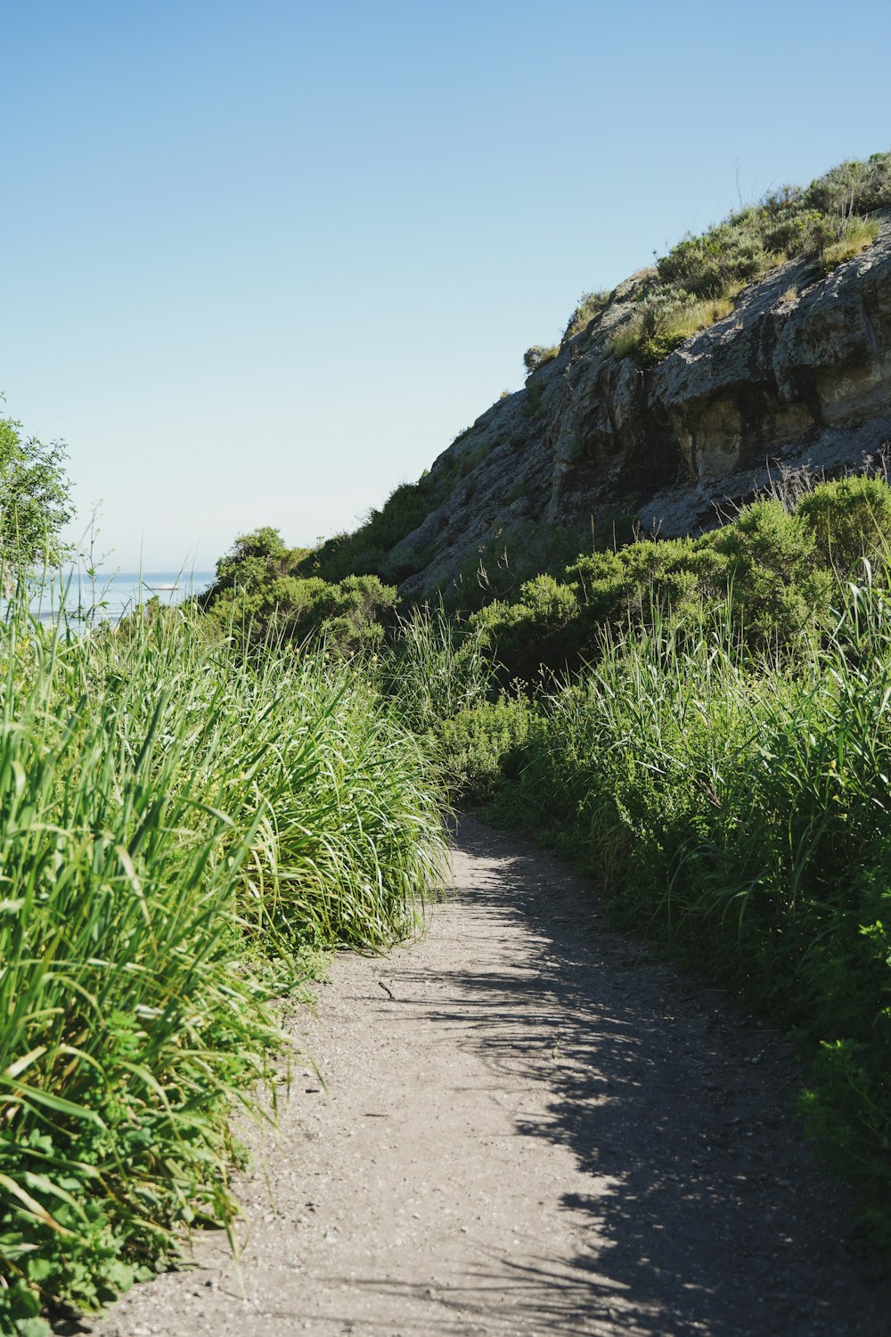 a path leading to a cliff on a sunny day