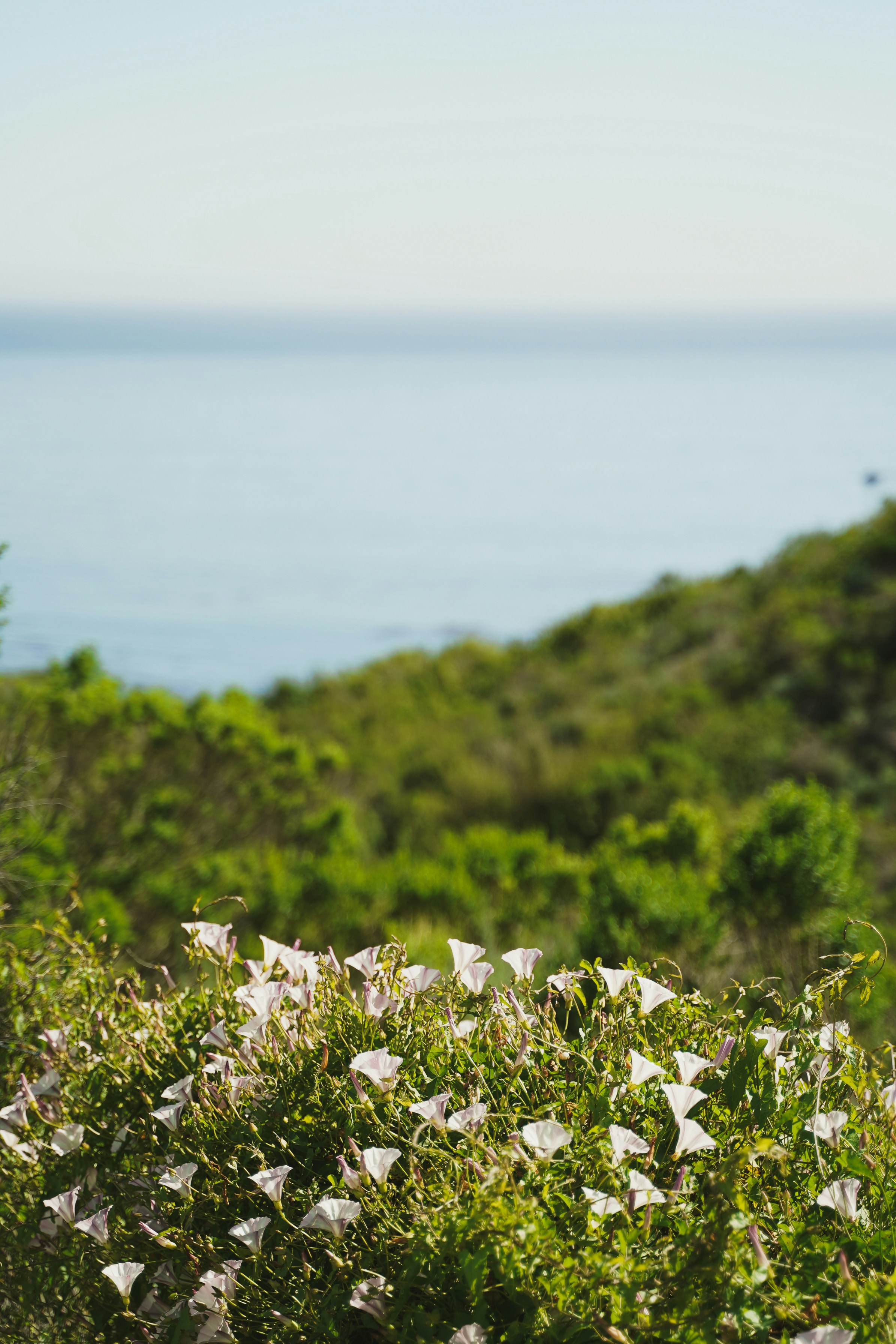 Photo by courtneysmith