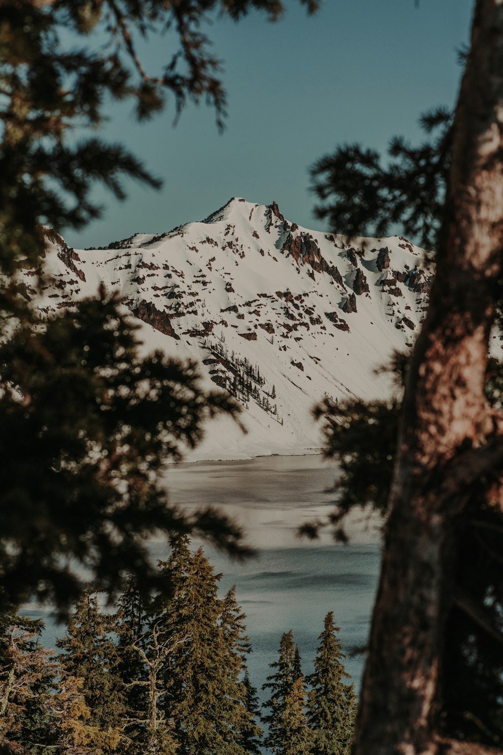 a snow covered mountain is seen through the trees