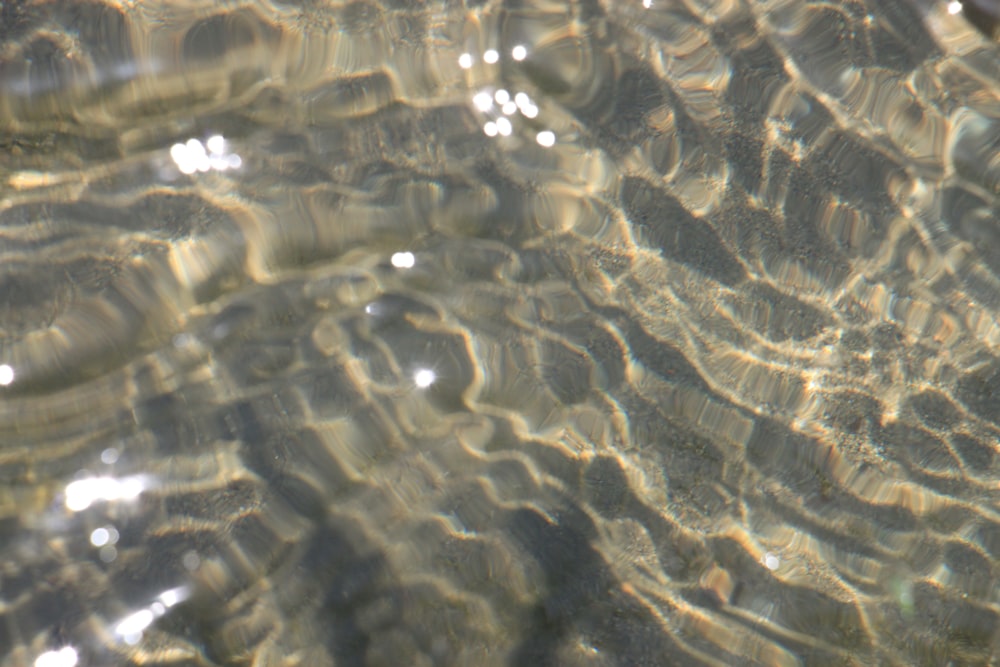 the water is crystal clear and reflecting sunlight