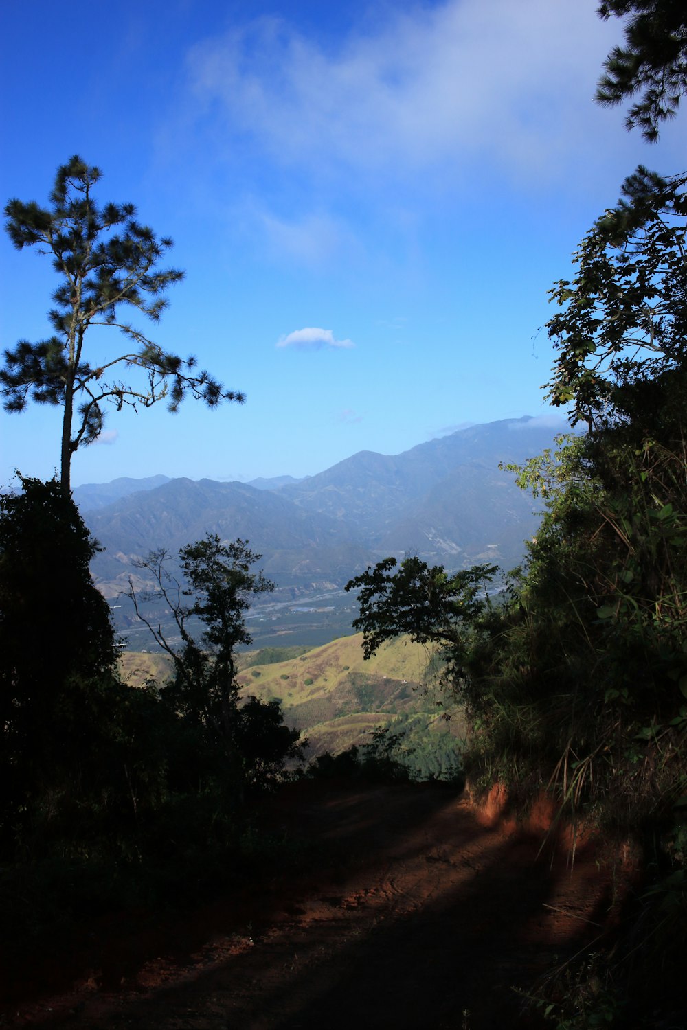 a dirt road surrounded by trees and mountains