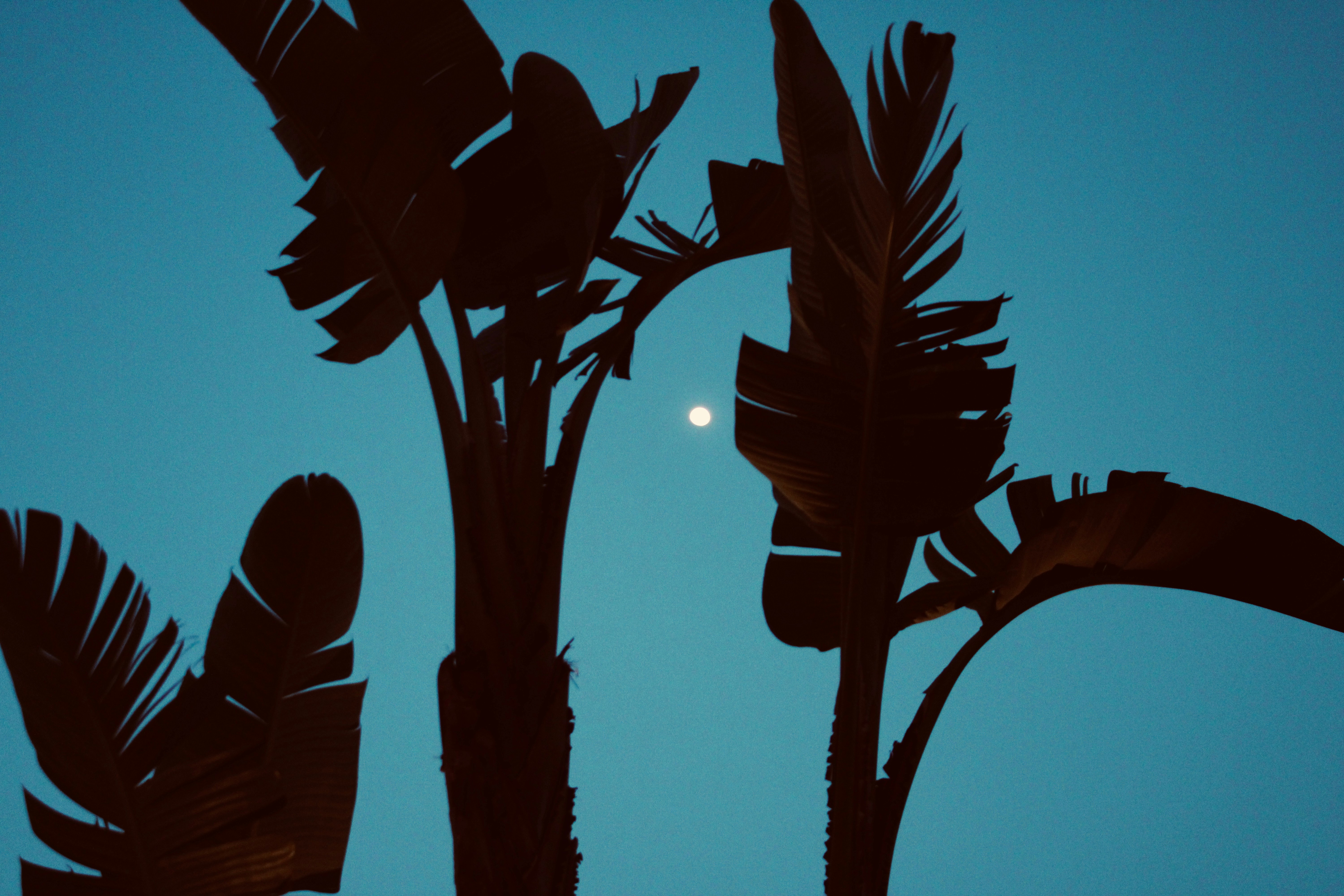 Photo by etiennejanylah