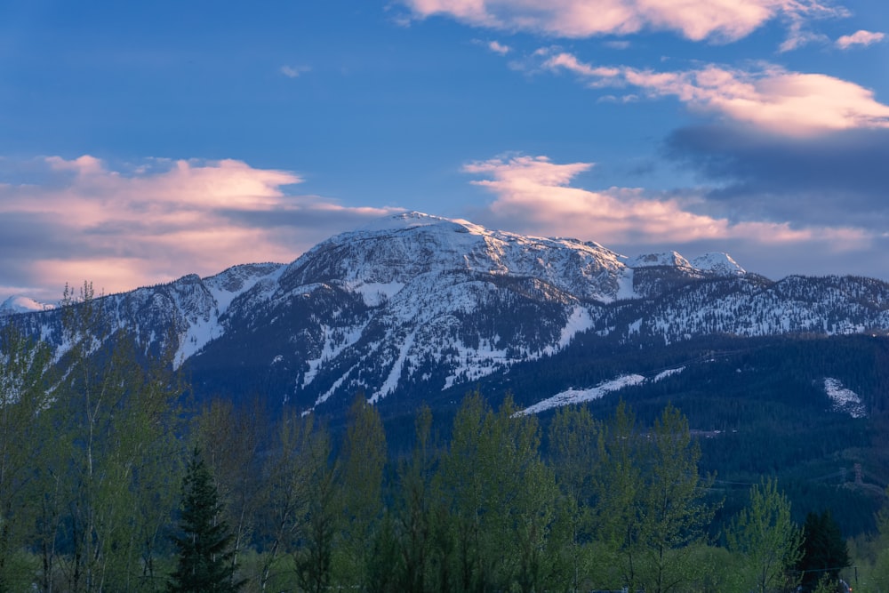 a snow covered mountain with trees in the foreground