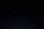 a night sky with stars and trees in the foreground