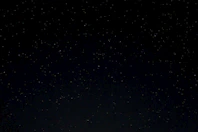 a night sky with stars and trees in the foreground