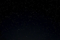 a night sky with stars and trees in the foreground