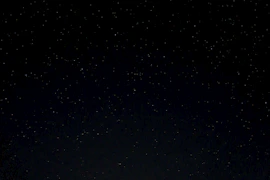 a night sky with stars and trees in the foreground