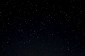 a night sky with stars and trees in the foreground
