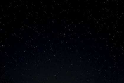 a night sky with stars and trees in the foreground