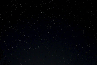 a night sky with stars and trees in the foreground