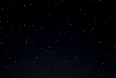 a night sky with stars and trees in the foreground