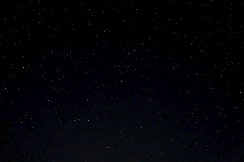 a night sky with stars and trees in the foreground