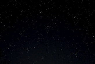 a night sky with stars and trees in the foreground