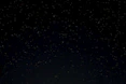 a night sky with stars and trees in the foreground