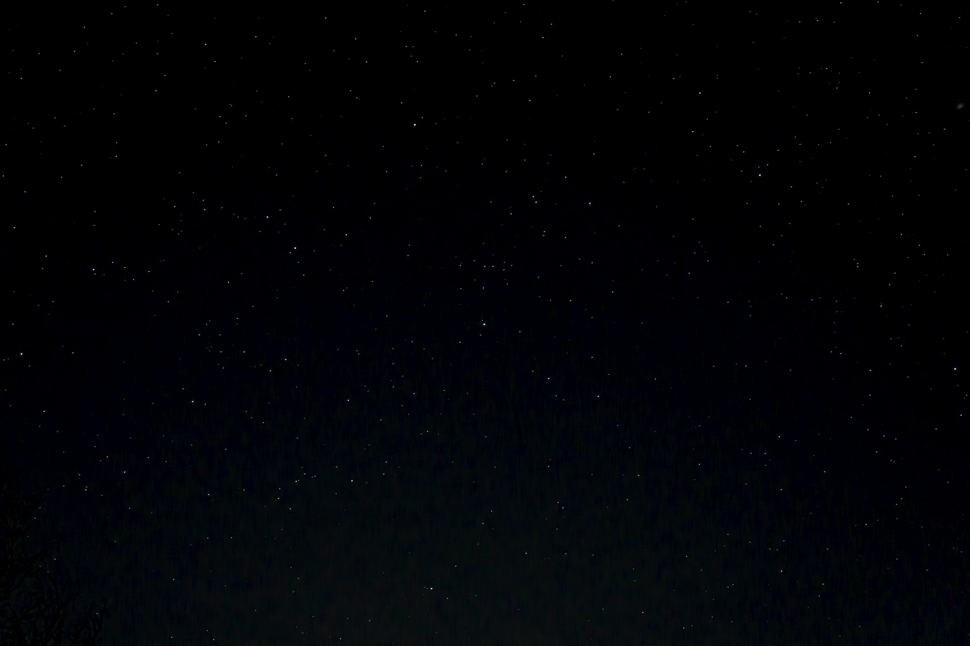 a night sky with stars and trees in the foreground