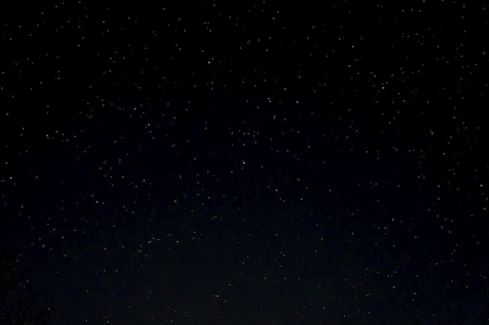 a night sky with stars and trees in the foreground