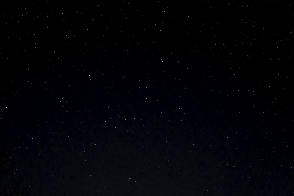 a night sky with stars and trees in the foreground