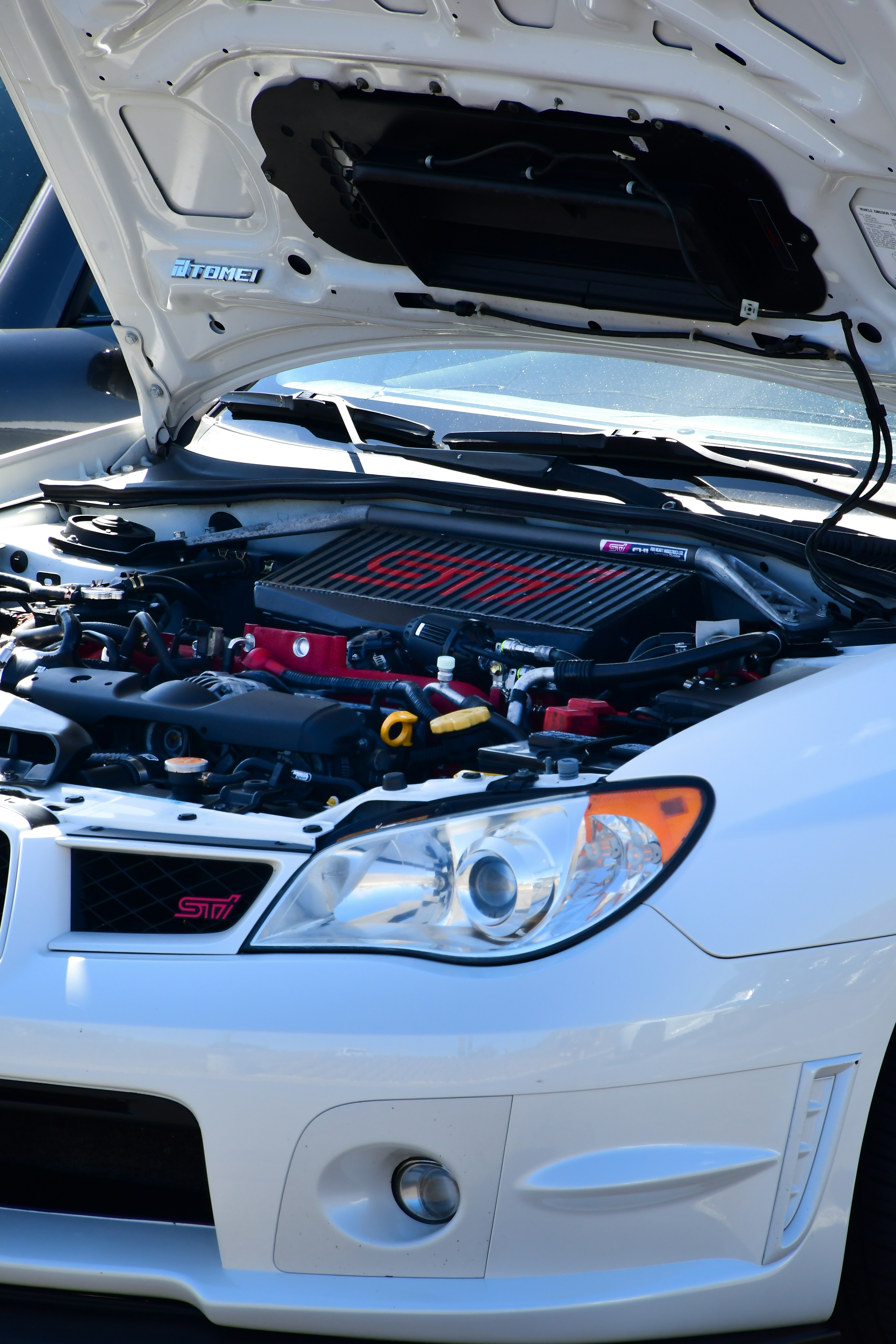 Photo by tory_hoffman