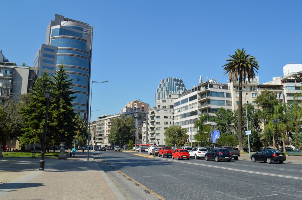 a city street lined with tall buildings and palm trees