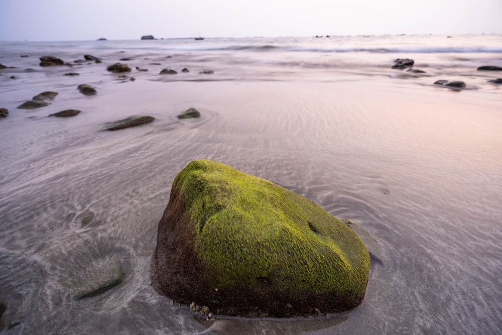 a green rock sitting on top of a sandy beach