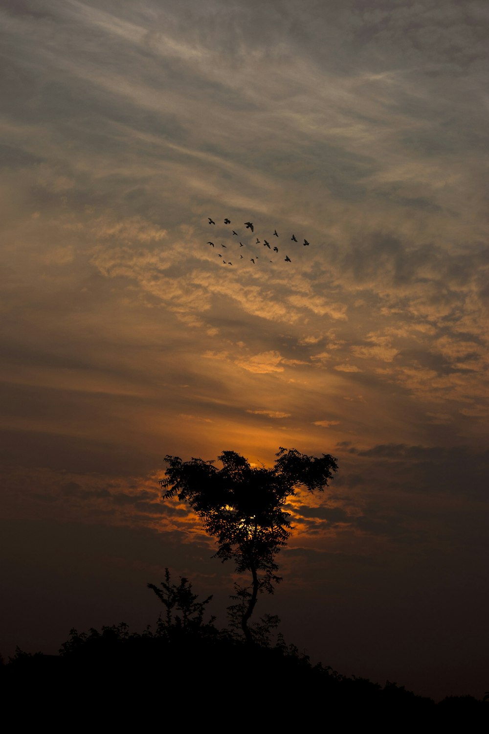 a flock of birds flying over a tree at sunset