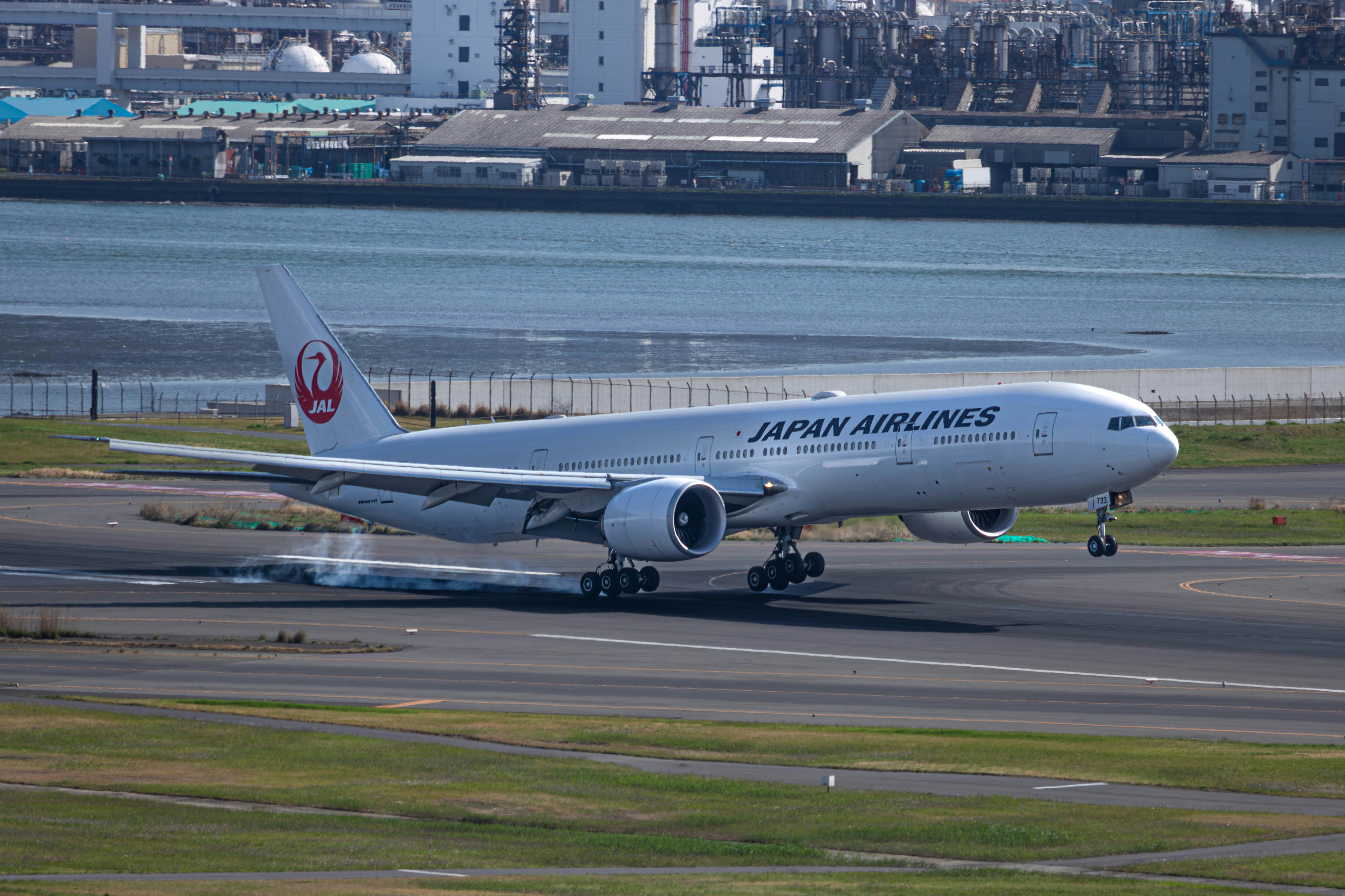 a japan airlines jet taking off from an airport runway, 