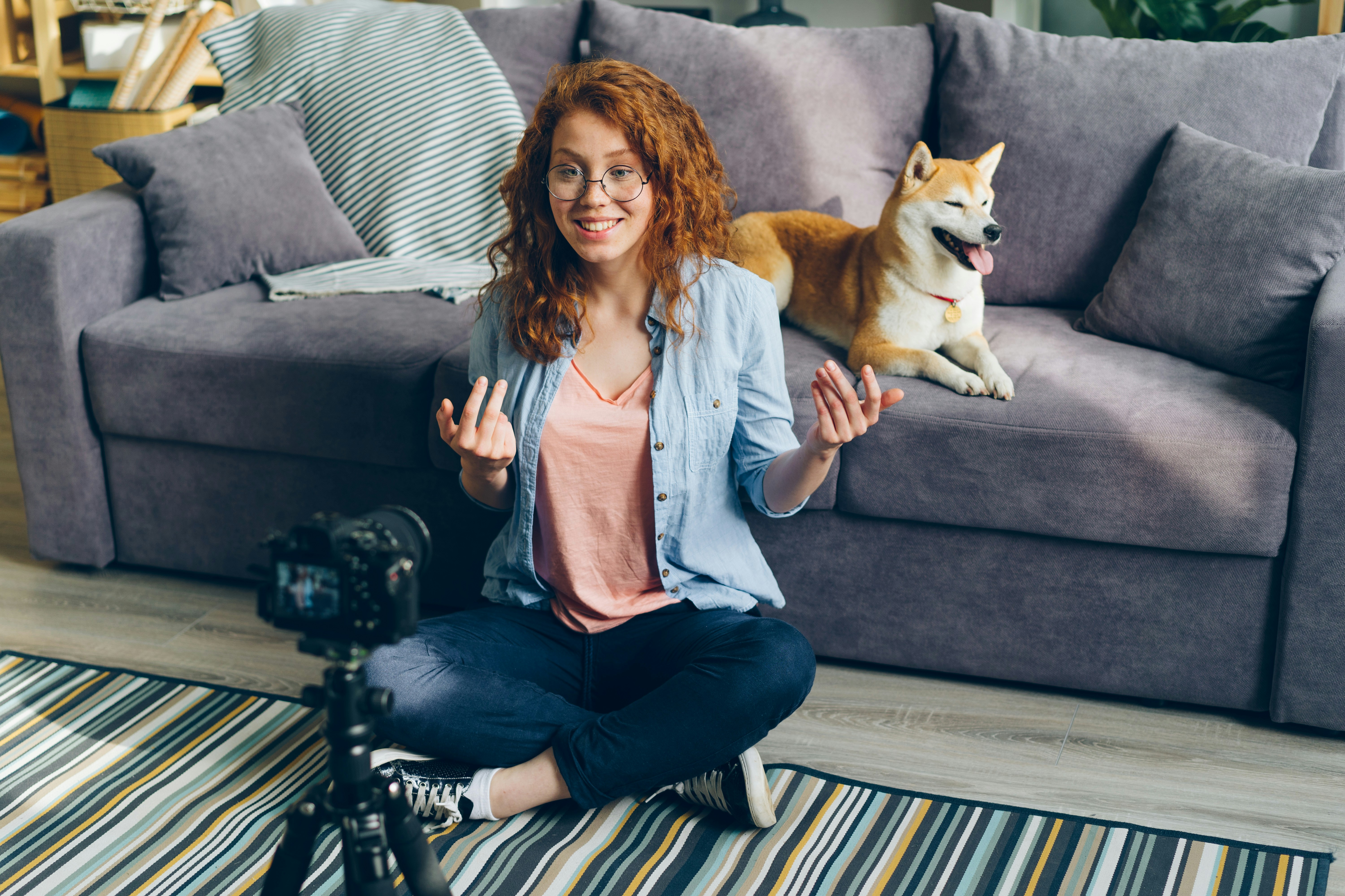 interview pet sitter