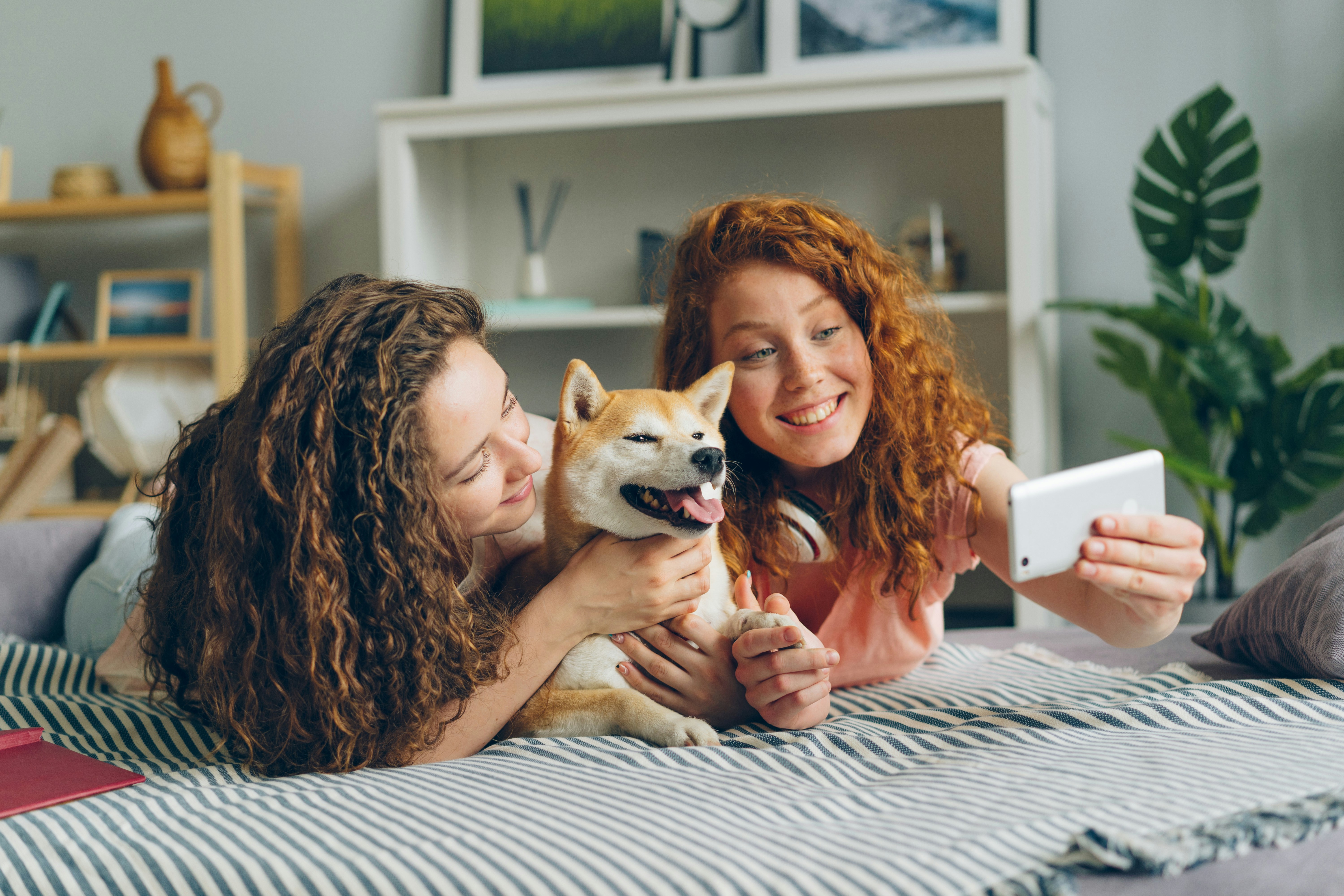 Happy dog and cat with pet insurance documents