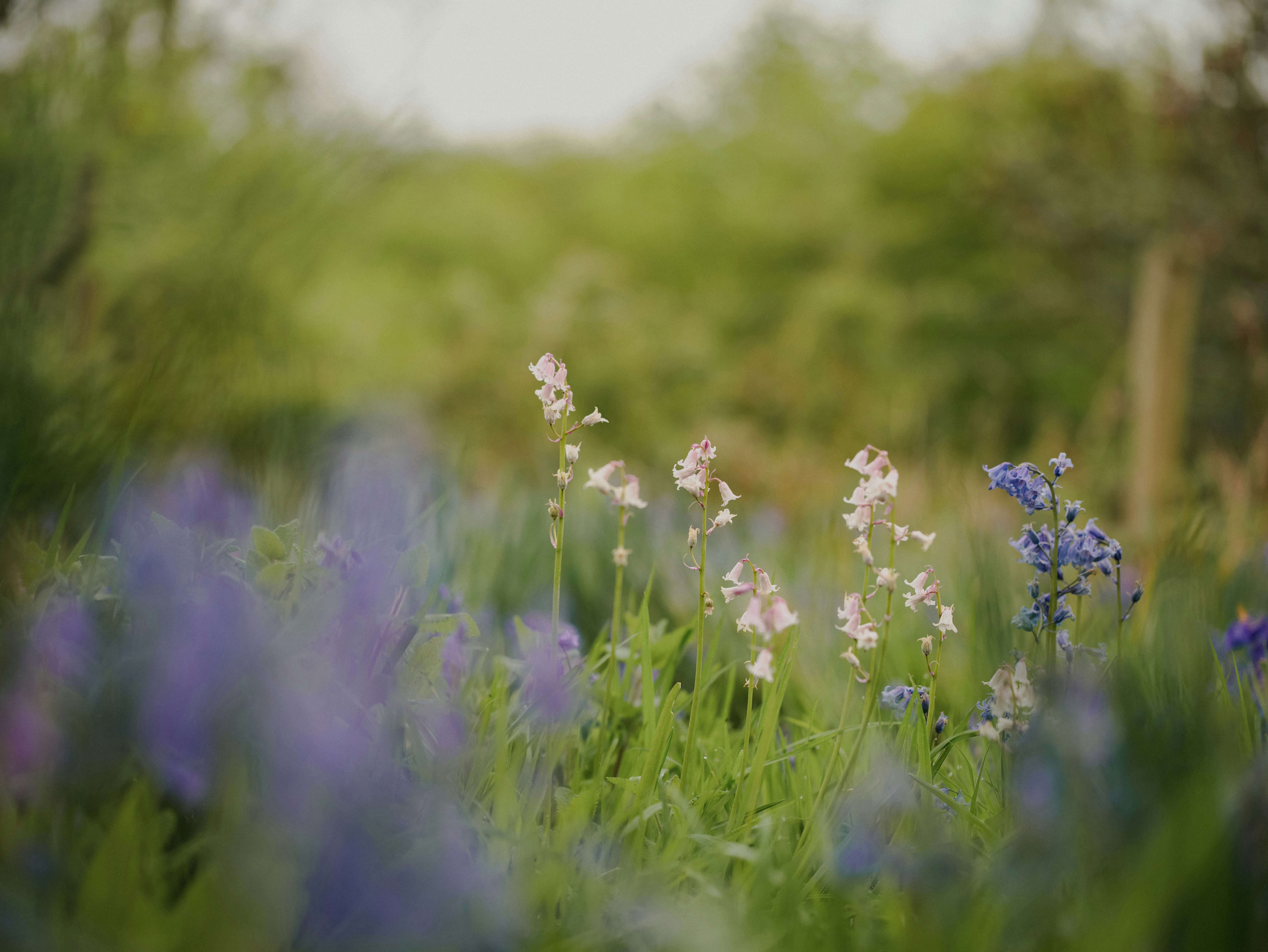 Photo by anniespratt