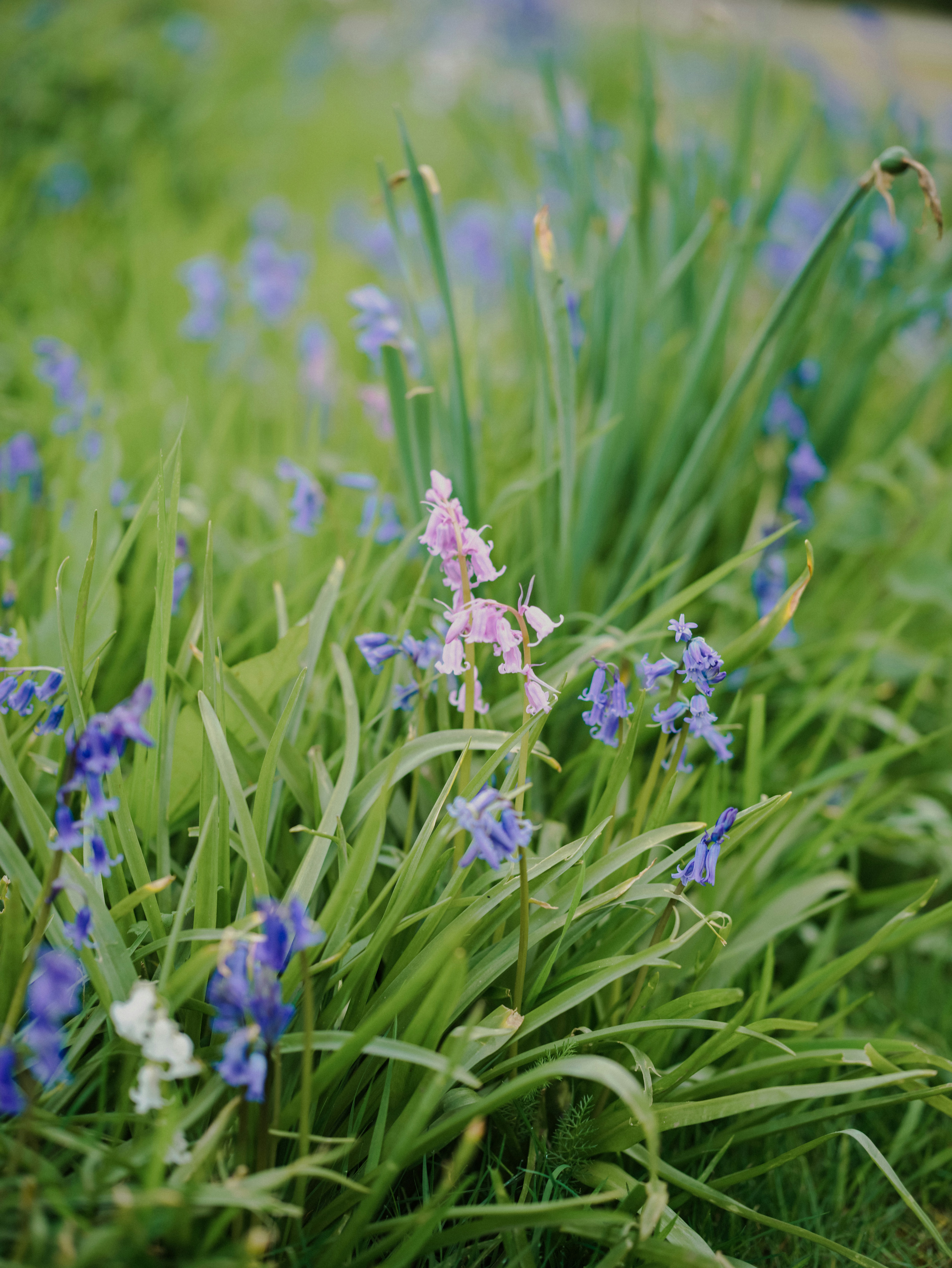 Photo by anniespratt