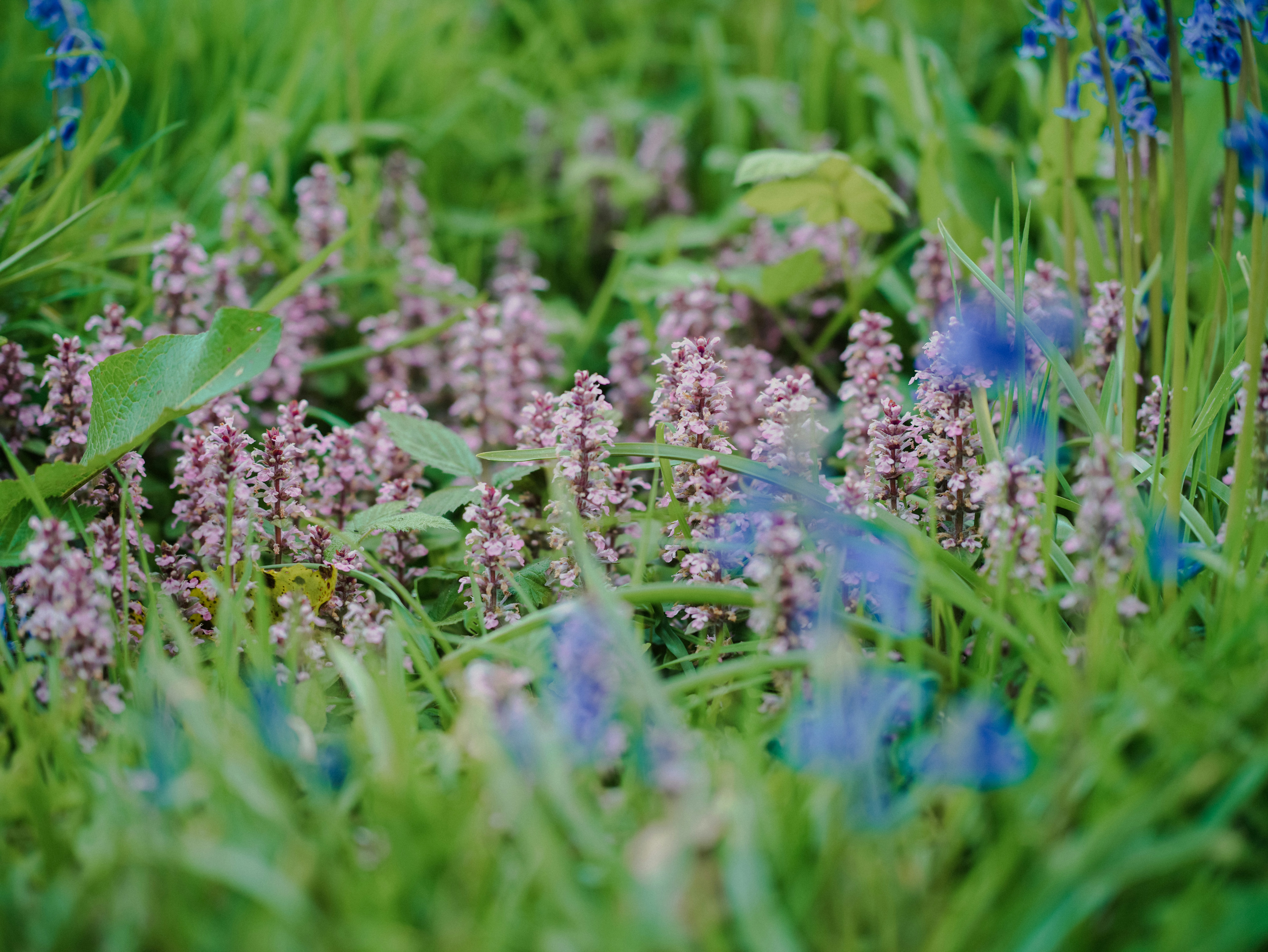 Photo by anniespratt